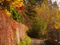 2013-10-20_Wank (007).JPG